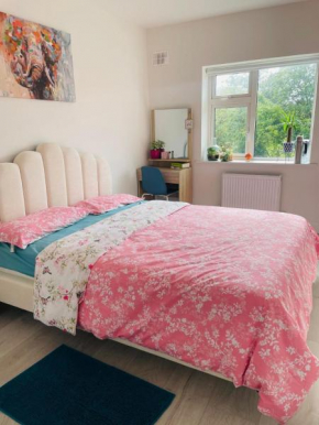 Green Haven - Room in Limerick